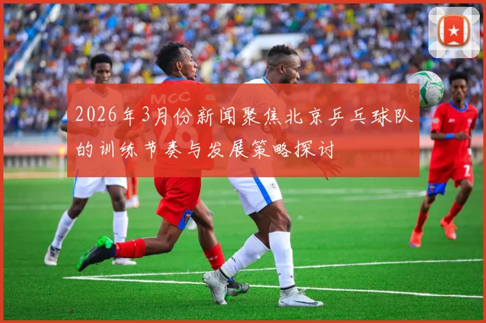 2026年3月份新闻聚焦北京乒乓球队的训练节奏与发展策略探讨